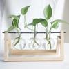 Glass and Wood Vase Planter Terrarium Hydroponics Plant Bonsai Flower Pot with Wooden Tray Ornament Home Office Wedding Decor