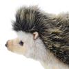 BH6807 HANSA Pygmy Hedgehog 23