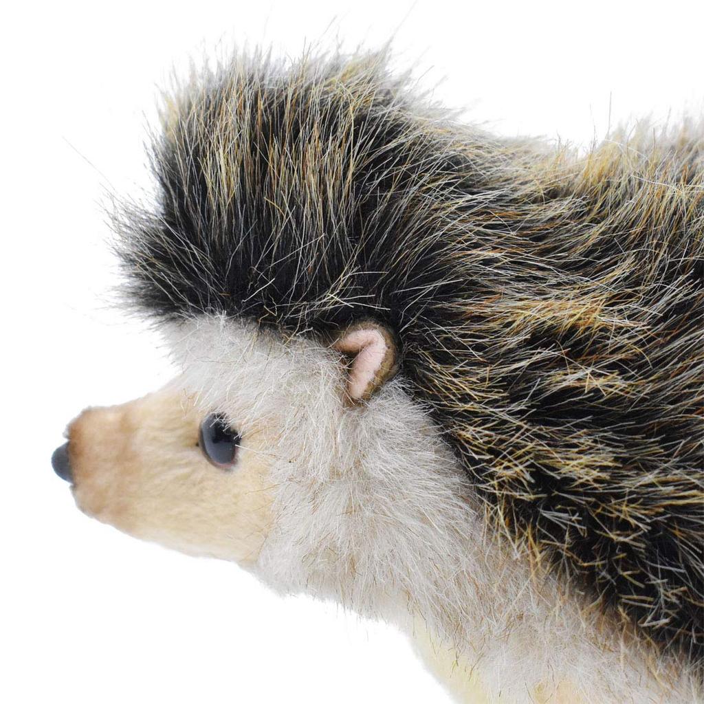 BH6807 HANSA Pygmy Hedgehog 23