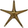 Solid Brass Star Fish Design Door Knocker/Nautical Beach Style Door Knocker/Home & Office Door Accessories Gift