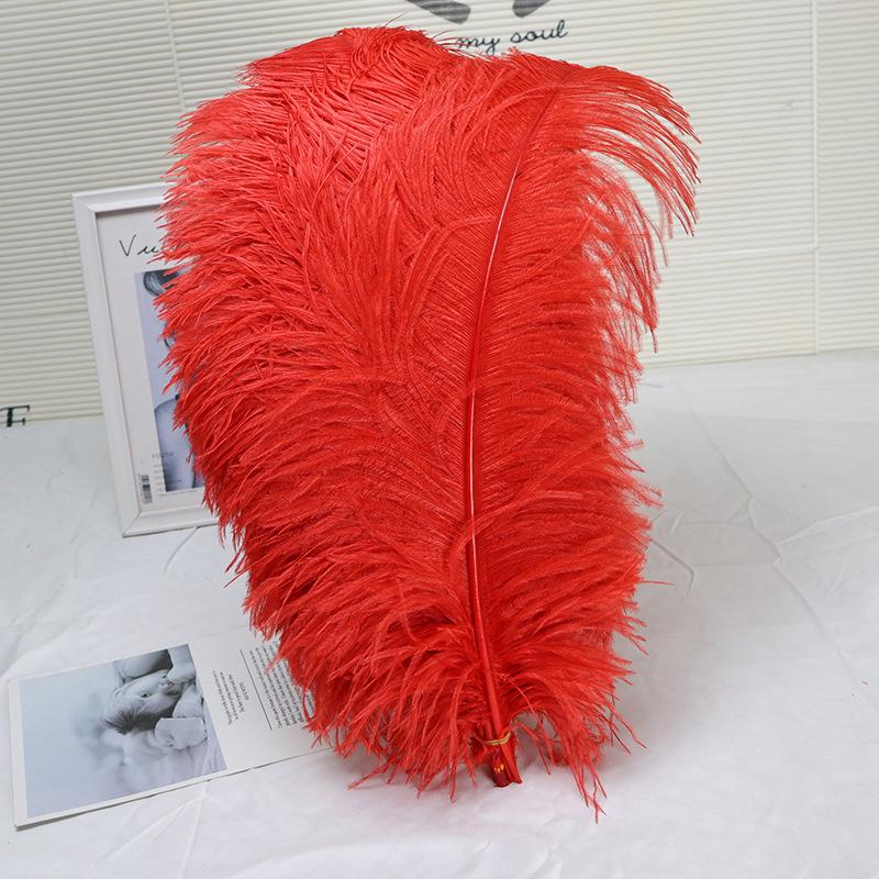 15-75cm Red Ostrich Feathers for Wedding Aisle Centerpieces, Table Decorations, Wall Art, Stage Props