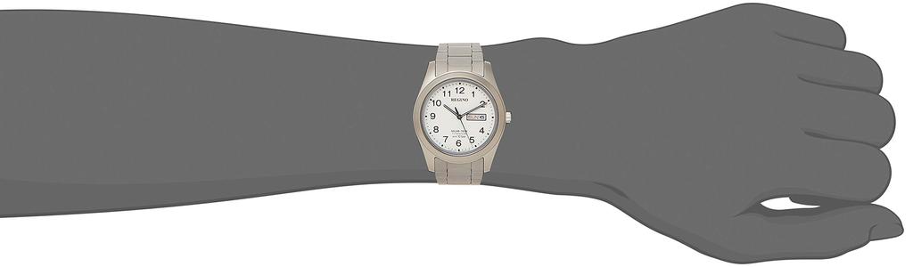 Часы Regno Solartech Standard Titanium Model [Citizen] KM1-415-13 мужские