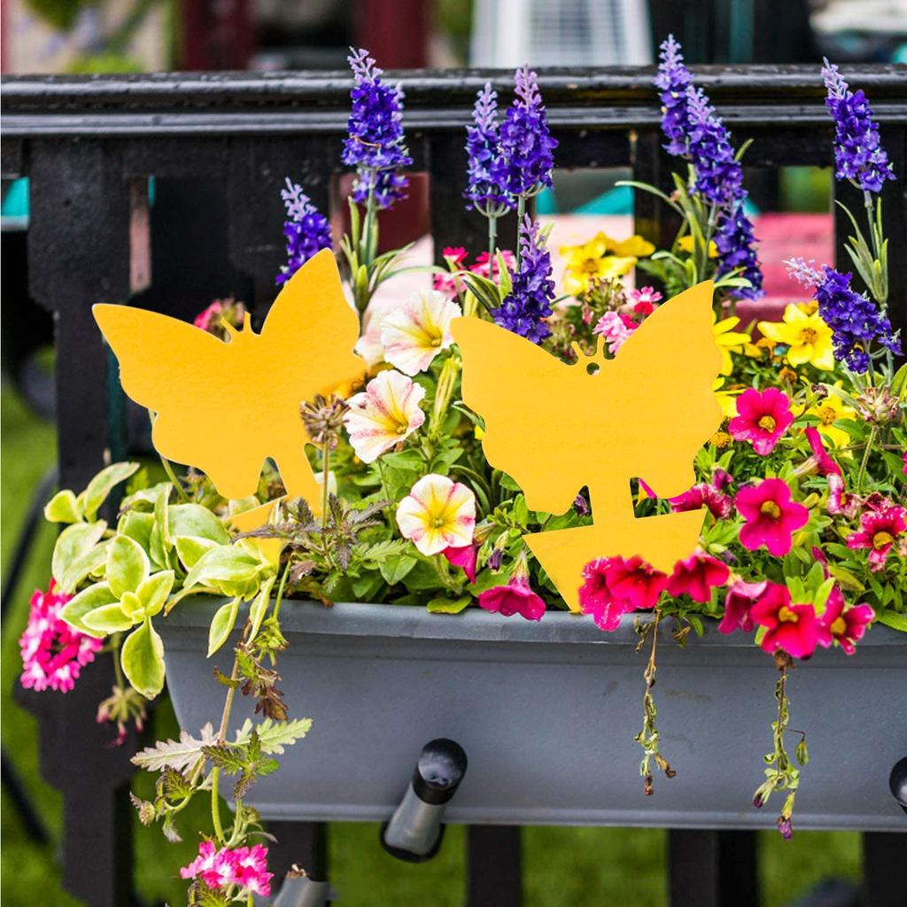 50 шт. липкая ловушка для насекомых двусторонняя липкая ловушка для летающих насекомых в помещении и на открытом воздухе комнатные растения летающая бумага