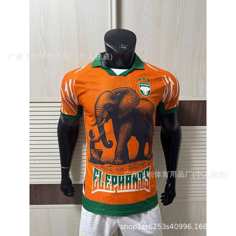 2026 Africa Cup National Team Fan Jersey Football Training Shirt Men Women Sports Running