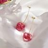 Creative Dried Flower Cherry Drop Earrings For Women