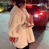 Autumn and Winter Lamb Fur Fur Plush Fashion Warm Jacket Imitation Otter Fur Hooded Loose Coat Jacket