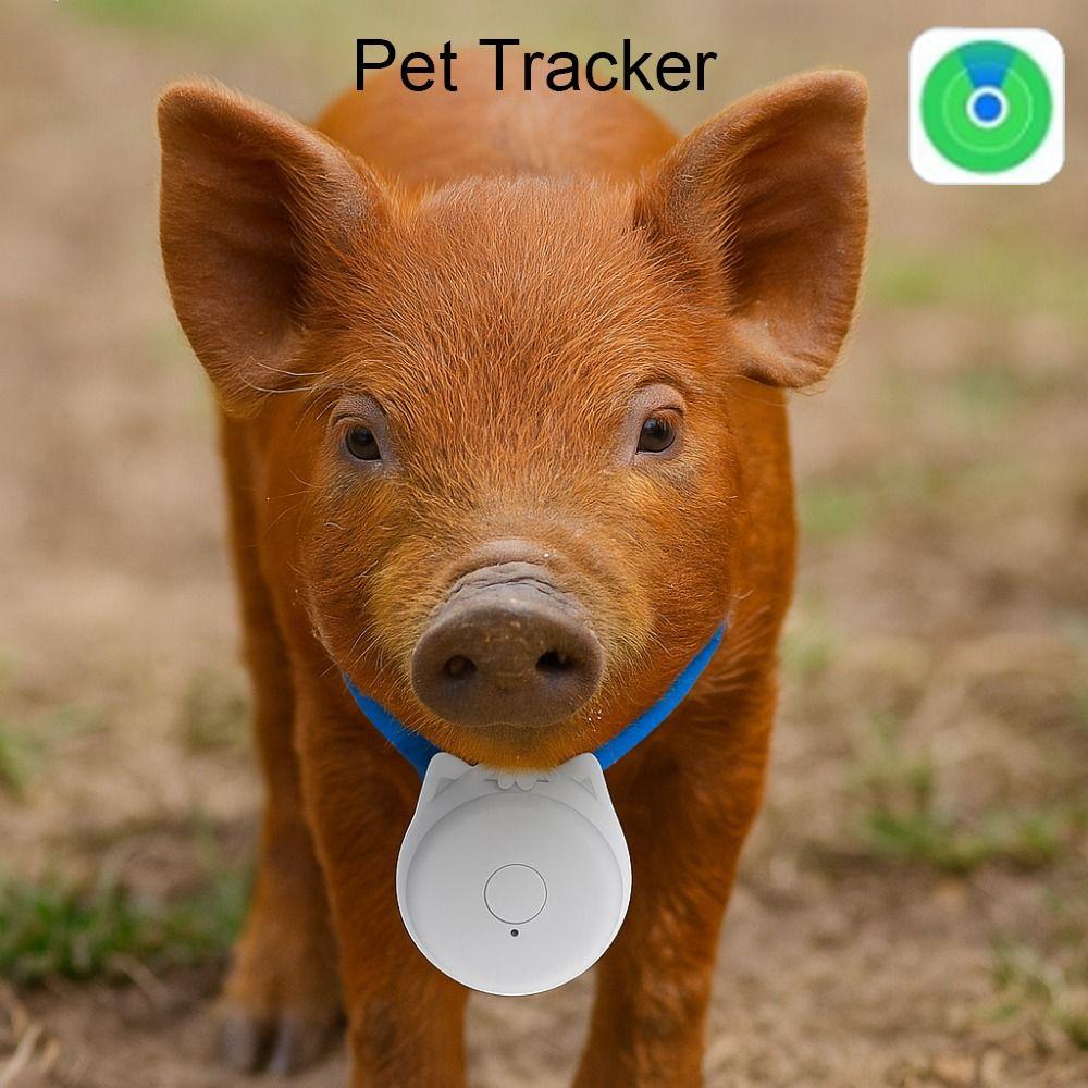 Anti-lost Mini GPS Tracker Wireless Alarm GPS Locator Portable Smart Tracker  for Car Wallet Key