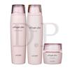 Collagen Plus Vital 3 Type Set