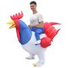Rooster Inflatable Suit, Adult