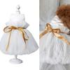 Pet Dress Mesh Texture Silky Edge Tie Belt Small Medium Girl Dogs Puppy White Princess Dresses for Outdoor