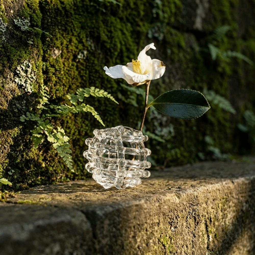 Transparent Glass Ball Vase Zen-Inspired Design Hydroponic Flower Vase  Flower Arrangement