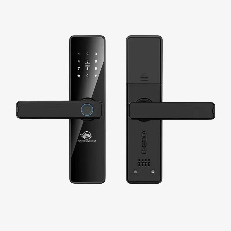ZYHS-TT-01x Smart Electronic Door Lock