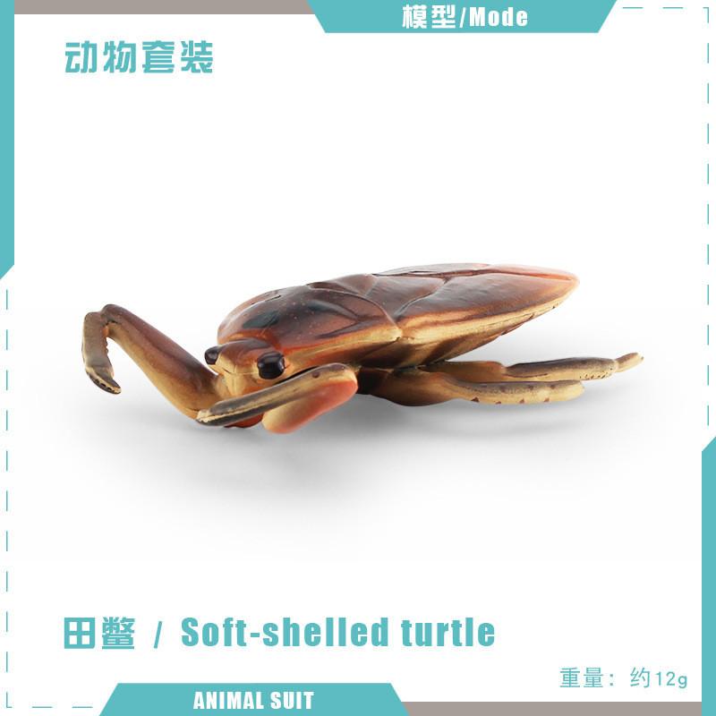 Realistic Pvc Insect Model Set Including Rhinoceros Beetle And Dragonfly For Decoration