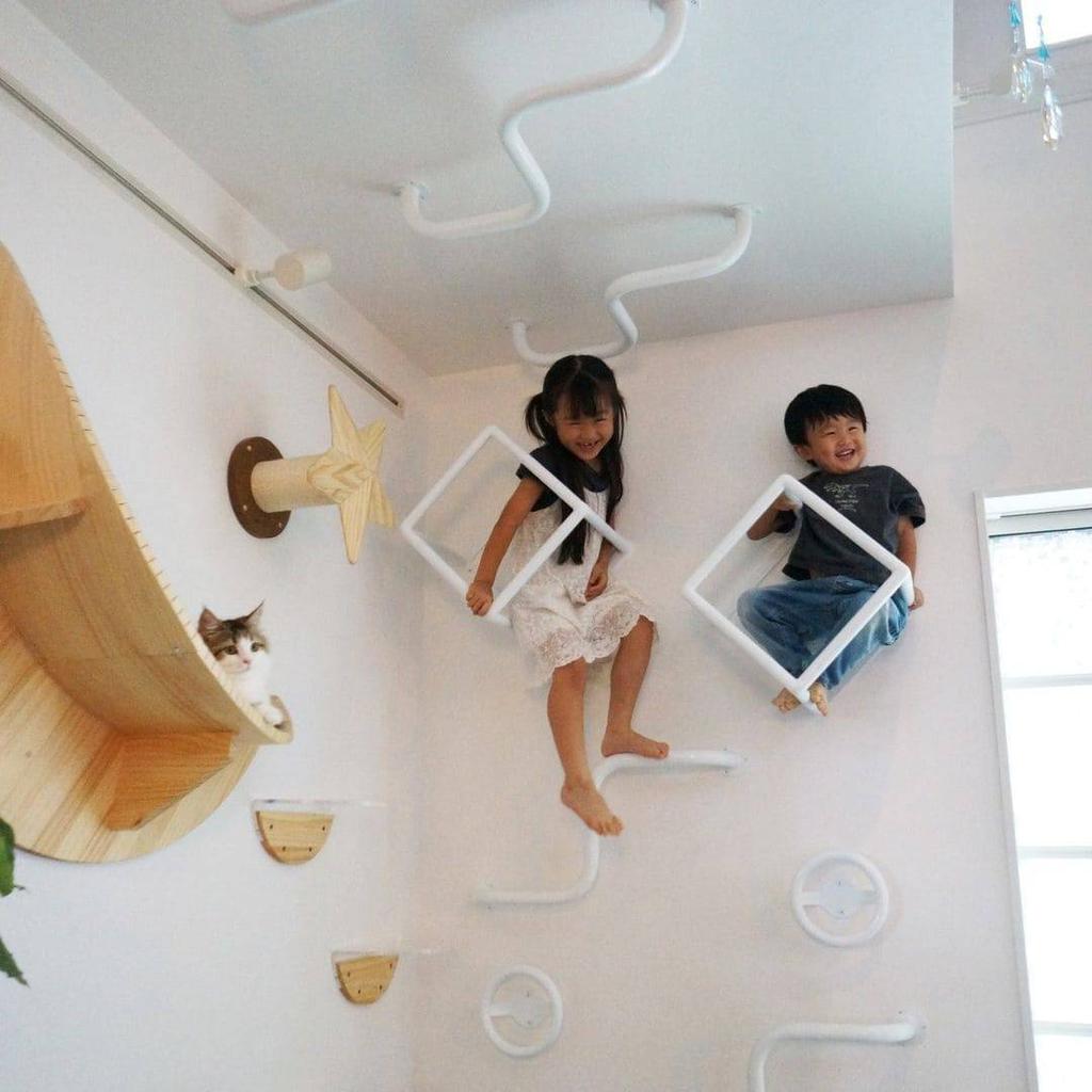 Curved Ceiling Pull-Up Bar White