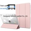 Кожаный чехол для iPad 10.2" со слотом для стилуса и прозрачной акриловой задней панелью