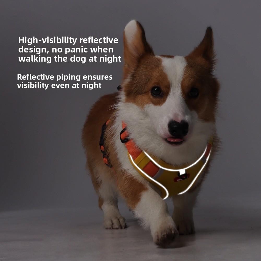 Dog Chest Harness With Nylon Material And Non Extendable Leash For Small Pets