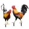 Stereoscopic Rooster Cards Acrylic Kid Toy Cute Inserting Cards  Yard Art
