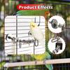 Bird Perch Parrot Stand Climbing Chewing Exercise Toy Cage Accessories for Budgies,