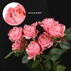 12Pcs Artificial Rose Flower with Single Stem 36cm Silk Material Fake Roses Used To Decorate The Bridal Bouquet Wedding Center Decorations Flower Wall
