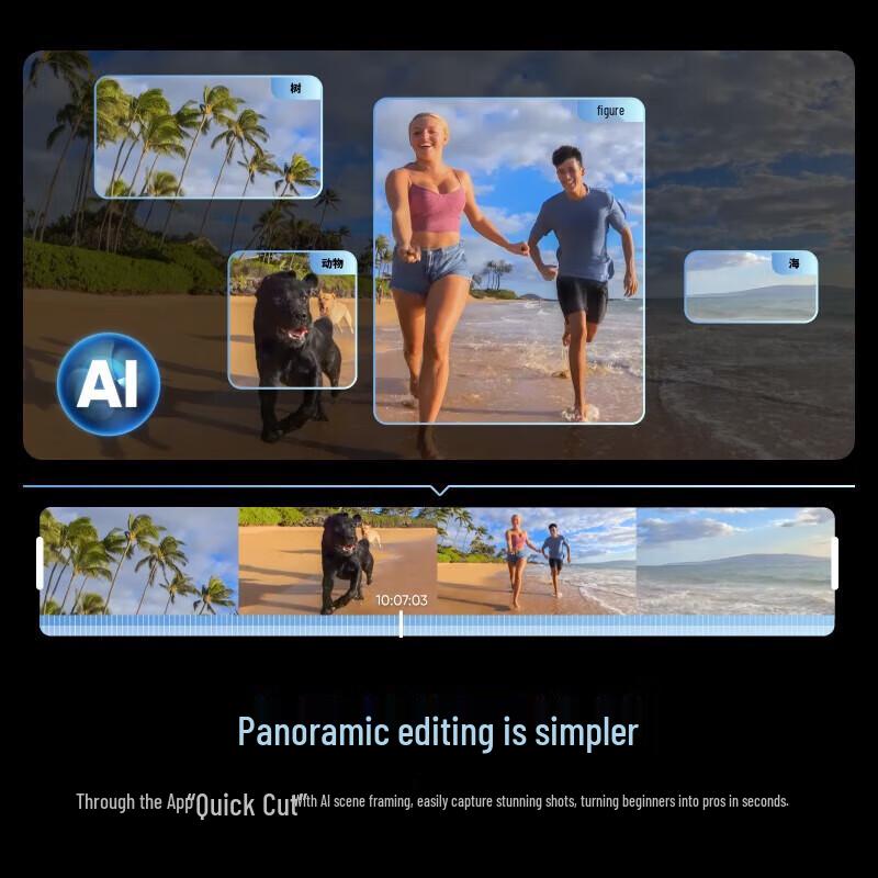 Insta360 X4 8K 360-Degree Action Camera (CN version)