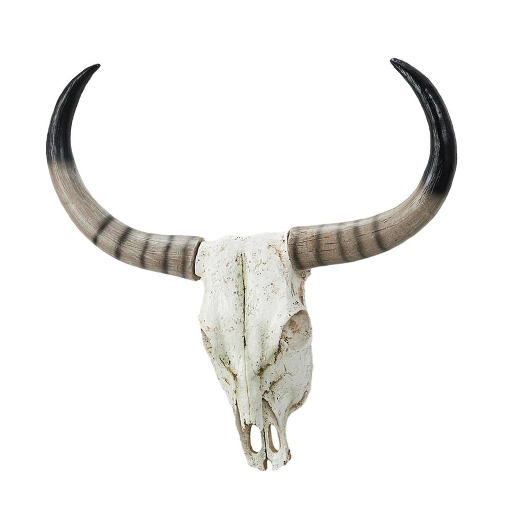 Long Horn Cow Skull Wall Sculpture Animals Heads Decor for Cabinet Home