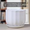 Simple White Ceramic Flower Pot with Base for Indoor Plants - Available in Large and Extra Large