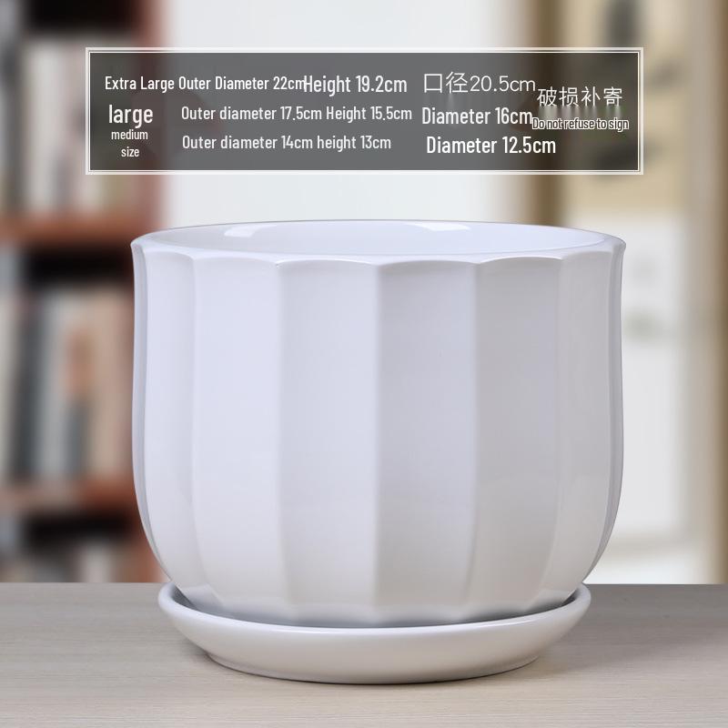 Simple White Ceramic Flower Pot with Base for Indoor Plants - Available in Large and Extra Large