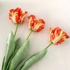 1 шт. Износостойкий 68 см Изысканное исполнение Длинный стебель 3D Тюльпан-попугай Искусственный цветок для дома