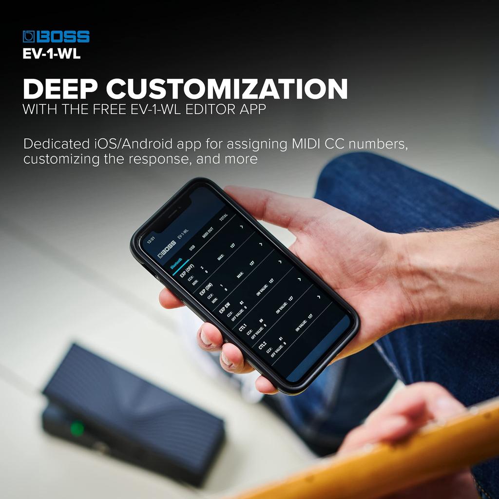 BOSS/EV-1-WL