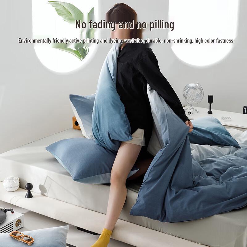 HAYLAN HOME Milk Velvet 4-Piece Bedding Set