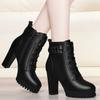 Fashion Shoes Female 2024 Hot Sale Side Zipper Women's Boots Winter Round Toe Velvet Warm Solid Short Barrel Chunky Heels Fashion Boots