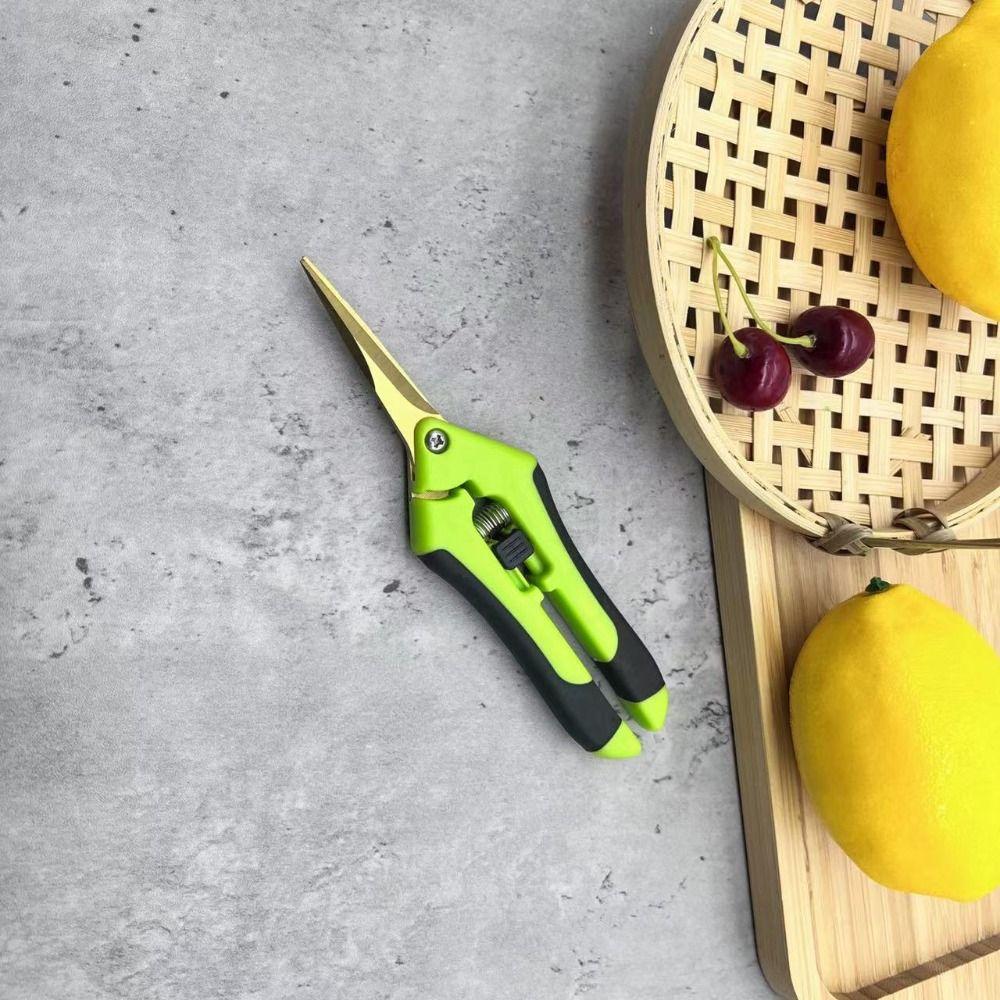 Picking Weed Bonsai Tool Garden Scissors Pruning Tools Floral Scissors Garden Pruning Shears