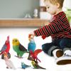 Parrot Animal Toys Figurines Home Decorate Preschool Educational