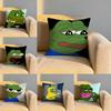 Character Pepe the Frog Cushion Cover Soft Reversible  Durable Pillow Cover  MultiScene Use for Home  Car Daily Comfort