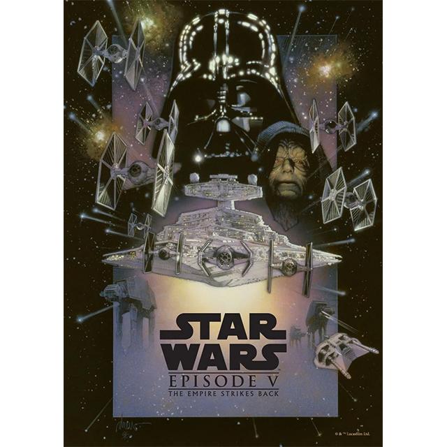 Популярный диснеевский фильм Звездные войны Обложки Принты Постер Холст Картина Современное Настенное Искусство Фотографии Гостиная Спальня Украшение дома