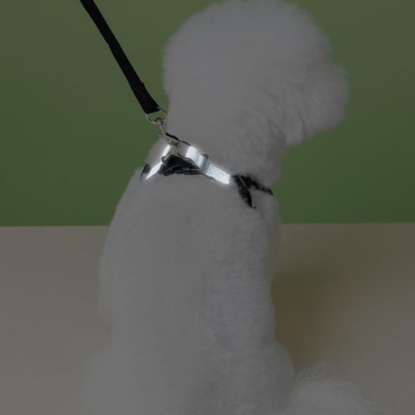 Сумка для владельца, одежда для собак, комплект нагрудных ремней, бронза