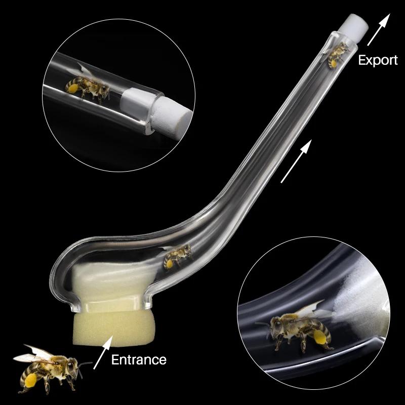 2PCS Beekeeping King Bee Catcher Catching Queen Cage Device Catch King Apicultura Rearing System Bee Supplies