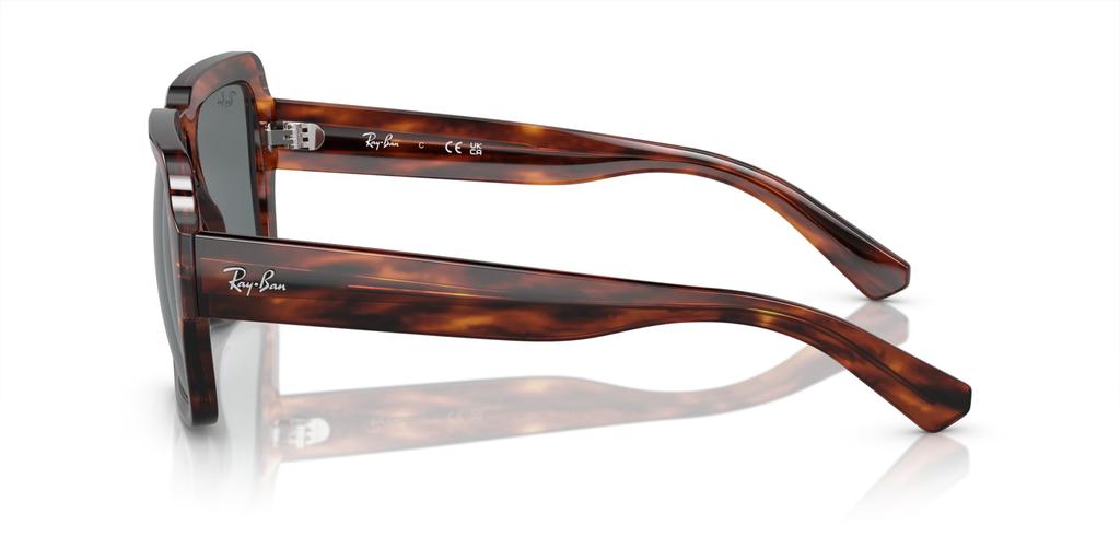 Солнцезащитные очки RB4408 MAGELLAN STRIPED HAVANA 54 Ray-Ban