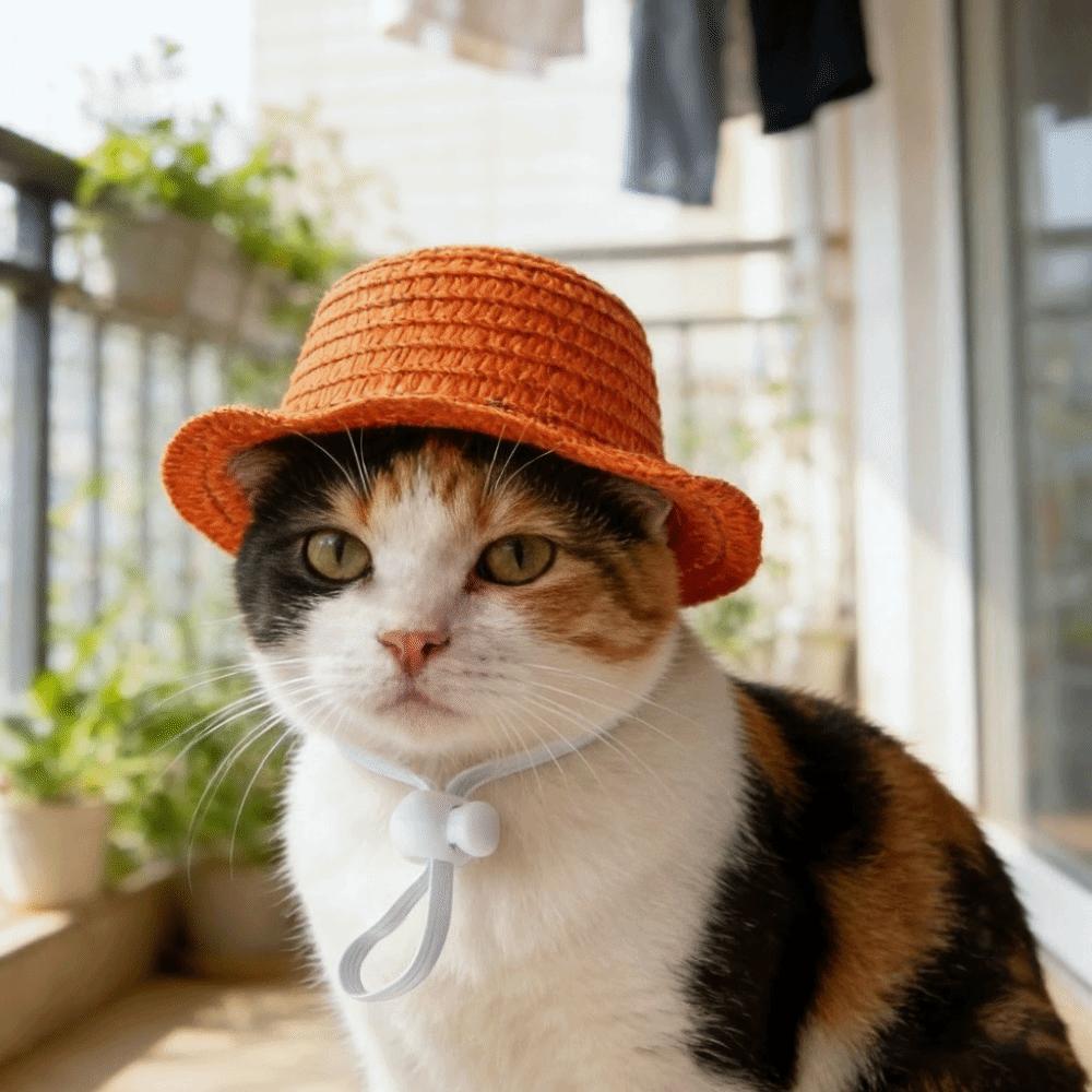 Breathable Cat Sun Hat Adjustable Dog Fisherman Hat Cute Pet Straw Hat Walking Hiking