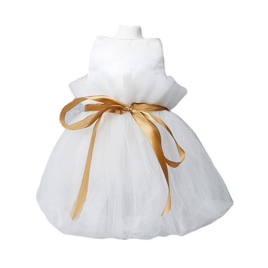 Pet Dress Mesh Texture Silky Edge Tie Belt Small Medium Girl Dogs Puppy White Princess Dresses for Outdoor