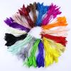 50Pcs13-18Cm Goose Feather Stripped Coque Milliner, Feathers, Headdress, Hat Decoration, Colorful Craft