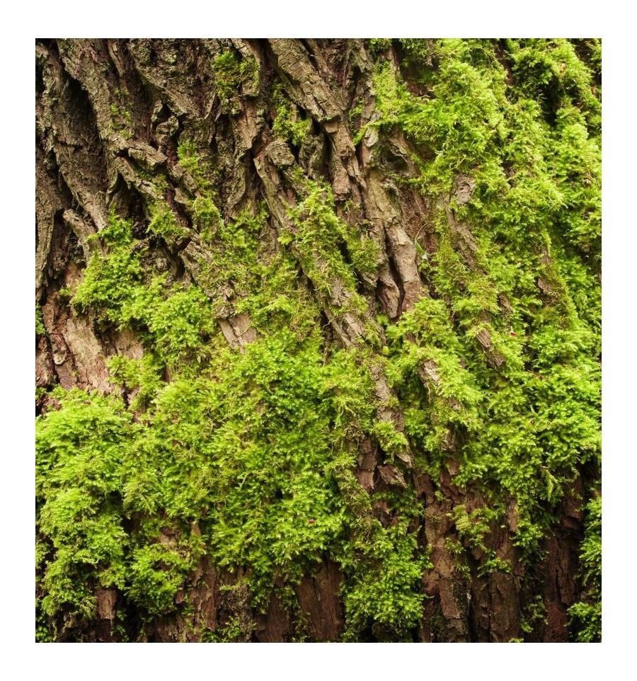 Yodeyma Agua Fresca Парфюмированная вода для мужчин 100 мл