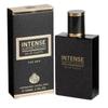 RT INTENSE IMPRESSION Perfume Men Fruity-fresh Fragrance 100ml Fragrance Twin