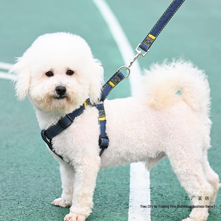 Multi-Size Dog Leash & Collar Set for Walking - Suitable for Small To Large Breeds