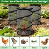 Pop-Up Garden Mesh Protector Folding Insect Barrier Netting Plant Cover  Garden