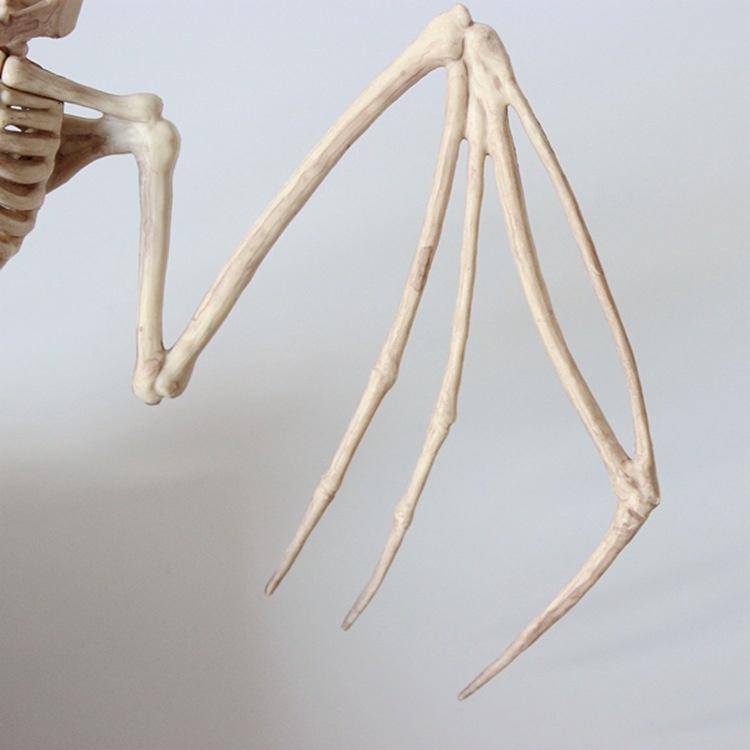 Ящерица Лягушка Летучая мышь Скелет Модель Хэллоуин Террорист Животное Украшение Призрак Дом Проекты Декор