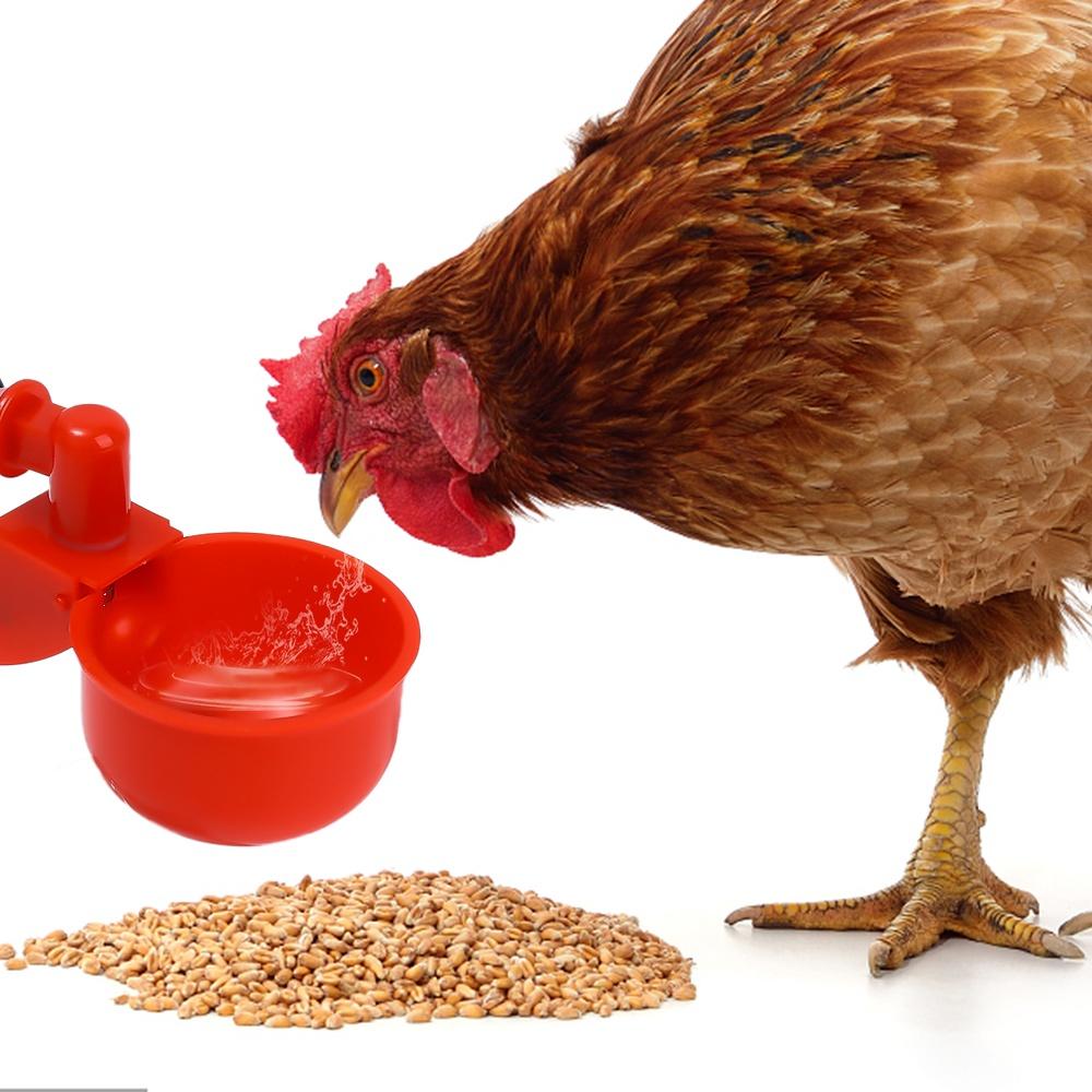 5/10 шт. автоматическая поилка для кур, чашки для питья, набор для птицы для цыплят, утки, гуся, индейки, перепела, поилка для кормления
