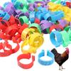 100pcs Portable Poultry Leg Tags Plastic Bird Leg Sign Rings Safe Band Foot Ring  Pigeon Supplies