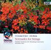 CD PYOTR ILYICH TCHAIKOVSKY • ANTONÍN - Serenades For Strings QK57226 Digital Focus 1993 Europe Classical Used