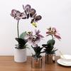 Simulyatsiya o'simlik Phalaenopsis tuvak Uy yashash xonasi dekoratsiyasi Sun'iy gul Gul tuvagi Simulyatsiya gul Fabrika ulgurji savdosi